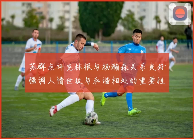 苏群点评克林根与杨瀚森关系良好强调人情世故与和谐相处的重要性